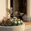 Estaca de Jardim Pássaro Robin Fofa Portátil Personalizada Criativa Amazon Transfronteiriça Ornamento de Jardim