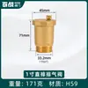 Válvula Baizhan Válvula de Purga Automática de Cobre para Calentadores Solares de Agua, Radiadores, Tuberías de Agua, Calefacción por Suelo Radiante y Calderas de Pared