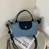 Bolsa de Grande Capacidade para Viagem Internacional, Bolsa Simples Nova Estilo Verão 2026, Estilo Casual, Fashion e Versátil, Bolsa Quadrada Pequena de Ombro Cruzado