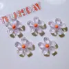 Accesorios de Resina Materiales para Manualidades Hebillas de Zapatos Parches para Sombreros Parches de Pegamento Cremoso Cubiertas de Paja Transparentes Flores con Purpurina Fina Tamaño Pequeño