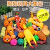 Juguete de Pelota para Perro Mascota, Resistente a la Mordida, Chirriante, Pollo Gritón, Teddy, Corgi, Golden Retriever, Cachorro, Set para Aliviar el Aburrimiento con Sonido