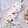 Phalaenopsis de Patrón de Seda de 8 Cabezas Simuladas Ramo Falso, Arreglo de Flores de Seda Artificial, Arreglo para Boda, Decoración para Sala de Estar