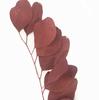 Suministro de fábrica cadena de flor de siempreviva de manzana eucalipto eucalipto con hierba ramo de flores secas para el Día de San Valentín
