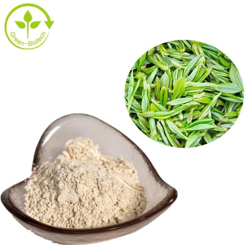 Green Tea Extract-EGCG 98%_副本