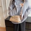 Bolsos Nicho Texturizados de Alta Gama Versátiles y Modernos para Mujer Bolsos Clásicos Transfronterizos Nuevos Bolso Cuadrado Pequeño Bolso Bandolera Moderno