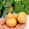 Sementes Atacado para Sementes de Flores Transfronteiriças: Girassóis, Cosmos, Tagetes, Sementes de Flores com Personalização de Rótulo