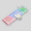 Set de Teclado y Ratón Acer OCC205 con Cable y Sensación Mecánica 104 Teclas Retroiluminación de Colores Neón KB Mouse