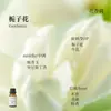 Líquido de Relleno de Aceite Esencial de Plantas de Aromaterapia de 15 ml para Difusor de Piedra de Yeso, Adornos Aromáticos, Especializado para Uso en Interiores, Fragancia de Alta Gama y Larga Duración