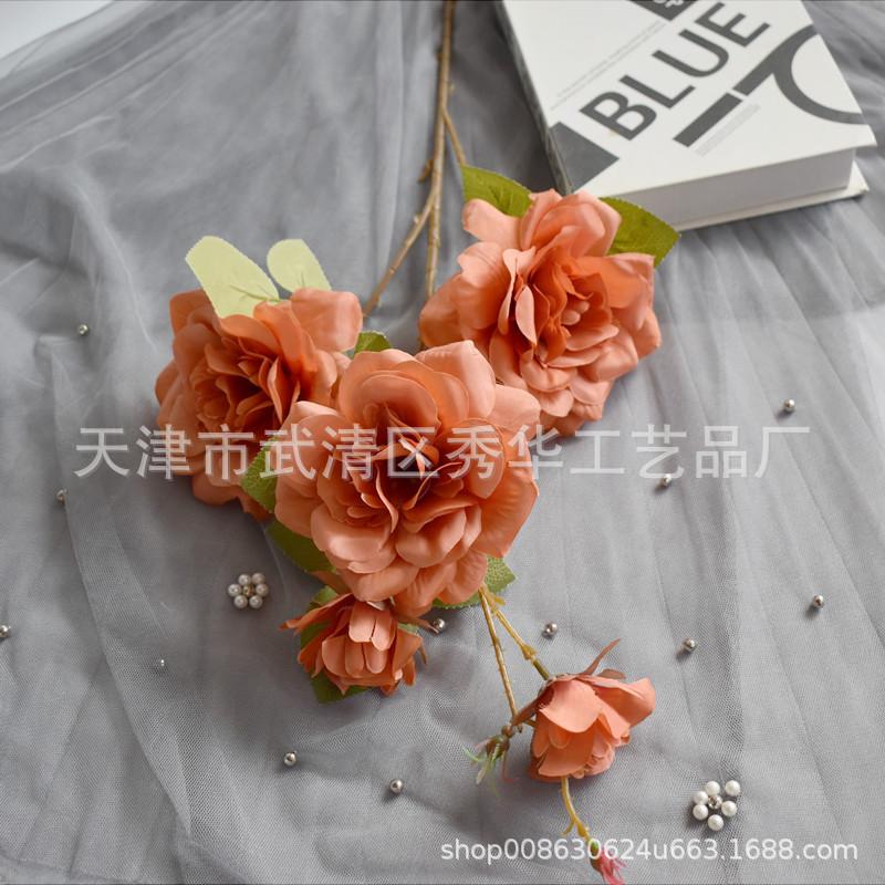 茶花焦糖色1