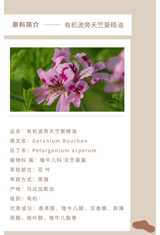 波旁天竺葵精油.jpg