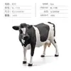 Simulação Transfronteiriça Mini Fazenda Aves Galinha Pato Ganso Vaca Ouro Animal Pequeno Modelo em Miniatura Ornamentos de Mesa de Areia Atacado