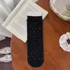 Calcetines de otoño e invierno para mujer, calcetines sin costuras de principios de otoño estilo coreano de media pantorrilla, estilo ins con ribete de encaje pequeño, versátiles calcetines de algodón holgados para mujer