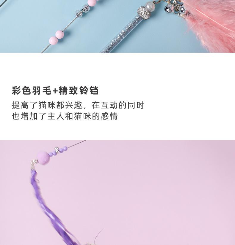 小雏菊逗猫_08.jpg