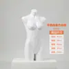 Accesorios para Maniquíes de Ropa Interior, Maniquíes de Medio Cuerpo Femeninos y Masculinos, Figuras de Plástico para Bustos y Ropa Interior, Soportes de Exhibición para Escaparates, Maniquíes Infantiles