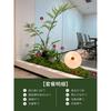 Planta Verde Simulada Paisajismo Helecho Cabeza de Mono Seda Dorada De Pie Planta Biónica China Decoraciones de Paisaje Interior Adornos Plantas Falsas en Maceta
