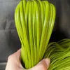 Tiras de Rattan Sintético, Materiais para Tecelagem de Rattan Plano Milimétrico, Fios de Rattan, Sacolas de Tecelagem de Rattan Sintético, Tiras de Rattan Plástico Feitas à Mão