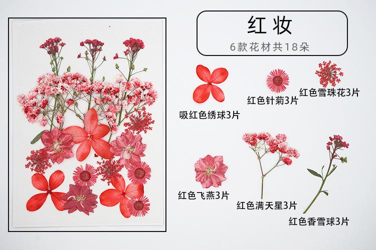 红妆展开图.jpg