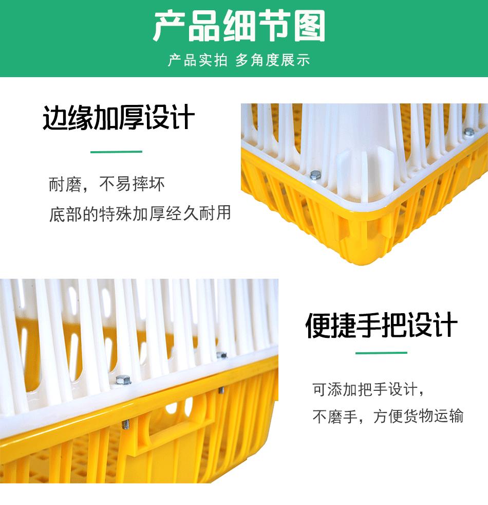 家禽周转箱