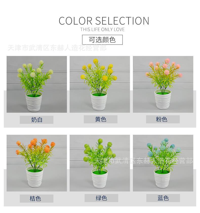 详情_01-1.jpg