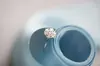 Anillo abierto de copo de nieve cepillado de plata de ley s925, estilo coreano de moda, anillo simple elegante de plata lisa, joyería de plata de ley para mujer