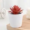 Suculenta Diamante em vaso artificial pequeno bonsai planta verde de escritório decoração venda quente transfronteiriça suculenta atacado