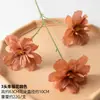 Flores de simulación wabi-sabi flores secas color café colores de otoño tonos tierra retro flores artificiales arte floral patrón de flor de suelo modelo decoración de habitación