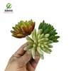 Simulação de planta suculenta super grande tamanho pequeno bonsai planta verde flor de plástico vaso micro paisagem com parede de plantas