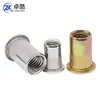 Tuerca Remachable de Cabeza Plana de Acero Inoxidable 304 Tuerca Remachable Moleteada Agujero Pasante Patrón Vertical Tuerca Remachable de Color Zinc M3M12