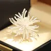 Broche Estéreo de Fuegos Artificiales Exquisito de Plata de Alta Gama Incrustado con Diamantes Pin de Línea Versátil de Nicho Mismo Estilo para Hombres y Mujeres