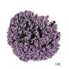 Plástico Morado Flor Artificial Hecha a Mano Material DIY Boda Cabeza de Flor de Espuma de Plástico Estambres de Ramo Artificial