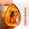 Colgante de Ámbar con Espécimen de Insecto Real Ámbar Insecto Gota de Agua con Forma de Insecto Escorpión Mariposa Abeja Flor Ámbar Transmisión en Vivo Venta al por Mayor