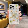 Funda protectora transparente con diseño de margaritas y flores secas para iPhone 16, Pro Max, 15 y 14.