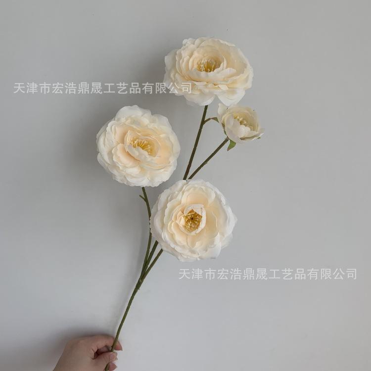 微信图片_20230810101820_副本