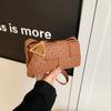 Bolsa de Hombro de Moda Coreana Estilo Primavera 2025 Bolso Casual Casual Bolso Cuadrado Pequeño Tejido Bolso Cruzado