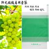 Bolsa para Ensacar Uvas Ensacar Bolsa de Papel Fruta Impermeable A Prueba de Lluvia A Prueba de Insectos Protección Niebla de Loto Transpirable Translúcida Una Pieza