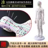 Modelo de Corpo Humano com Pontos de Acupuntura para Praticar Inserção de Agulha, Diagrama Completo do Corpo com os Doze Meridianos da Medicina Chinesa, Modelo de Cobre em Forma Humana