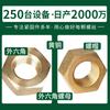 Porca de Cobre Porca Sextavada Tampa de Parafuso Tampa de Parafuso Sextavado M3/M4/M5/M6/M8/M10/M12/M14/M16