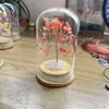 Árvore de Cristal Natural, Flor Eterna, Enfeites de Mesa, Árvore de Dinheiro de Cristal, Garrafa dos Desejos, Árvore de Dinheiro, Artesanato de Cristal Atacado