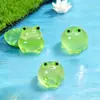 Micro Paisagem Criativa Brilho no Escuro Fofas Figurinas de Sapinho Decorações DIY Acessórios de Sacola Surpresa Enfeites Pendentes Pequenos Enfeites de Mesa