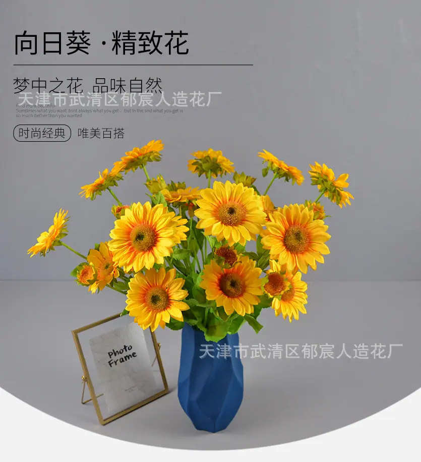 详情_01.jpg