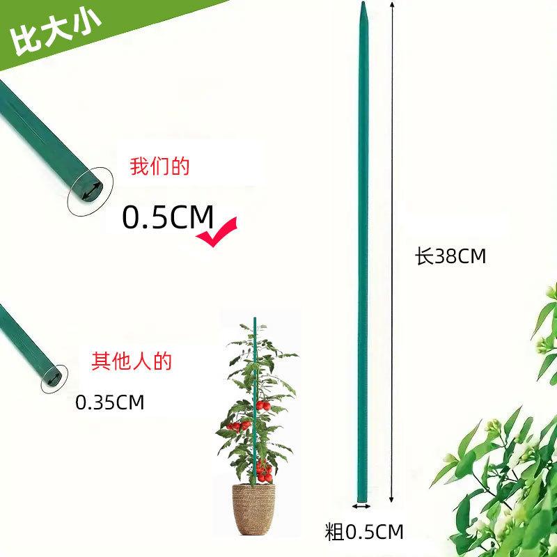 主图(2)