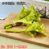 Legumes de Simulação Salsão Cebolinha Brotos de Alho Salsão Chinês Legumes Verdes Modelos Decoração de Gabinete Sala de Modelos Enfeites Adereços para Fotografia