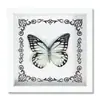 Espécime de Borboleta Real Decoração de Casa DIY Moldura de Madeira para Fotos Suprimentos de Pintura Decorativa Avançada Presente Moderno Presente Criativo