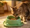 Tigelas para Pets de Alta Qualidade Vendidas Diretamente pelo Fabricante, Fofos Suprimentos para Pets Multicor, Tigelas para Cachorros