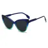 Óculos de Sol Retrô Novos em Formato de Gato 2026 Tendência Unisex Óculos de Sol para Influenciadores Óculos de Sol com Proteção Solar Fashion