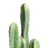 Directo de Fábrica cactus artificial grande cactus de suelo columna de cactus maceta flor artificial multi-rama rueda mexicana columna