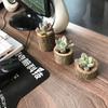 Adornos de Artesanía de Madera Hechos a Mano Estacas de Madera Personalizadas Portavelas Fresco Adornos de Maceta Pequeña Suculenta
