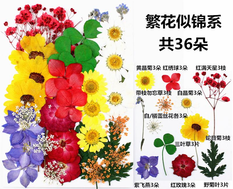 IMG_3523_副本_副本