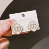 Colección Popular de Pendientes 2025 Pendientes Nuevos Pendientes de Nicho de Gama Alta Diseño Elegante Fábrica de Origen de Yiwu