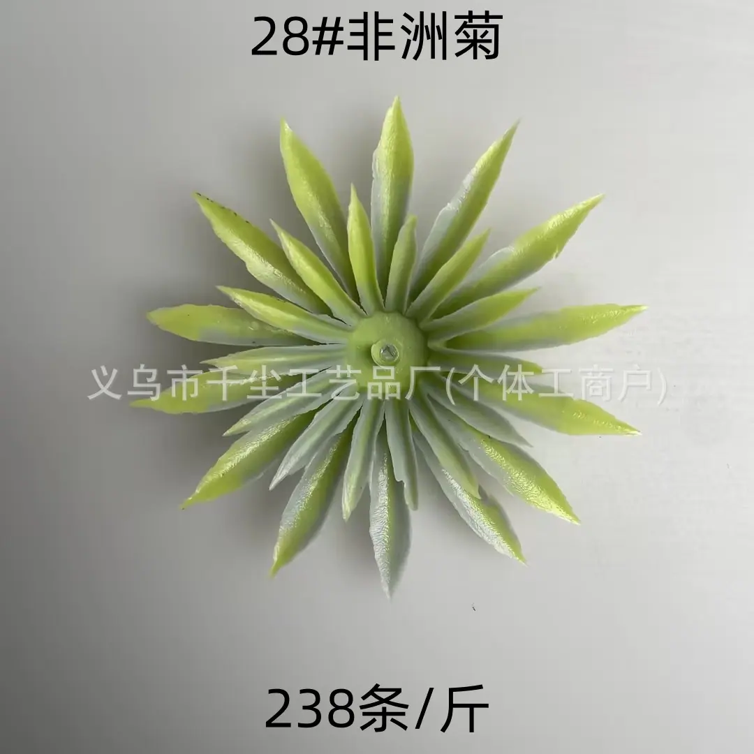 28#非洲菊.jpg